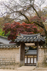 a traditional Korean Hanok entrance with a tiled roof, wooden gate, and stone wall, surrounded by vibrant autumn foliage under a clear sky, creating a serene and historical atmosphere.