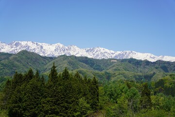 Obraz premium 信州 小川村の風景 残雪の北アルプスと新緑の里山