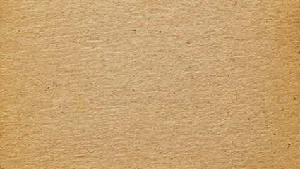 A sheet of brown recycled cardboard texture as background