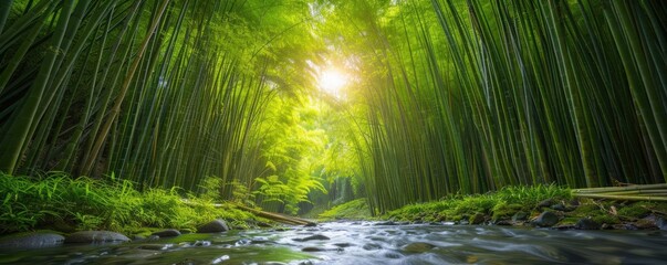 Fototapeta premium Sunlight filters through a lush bamboo forest, casting a serene glow over a tranquil stream surrounded by towering green stalks and foliage.
