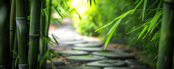 Tranquil garden path with bamboo and stepping stones, creating a serene and peaceful nature scene in lush greenery.