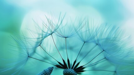 Close up of delicate dandelion seed with soft blue sky background, emphasizing intricate texture