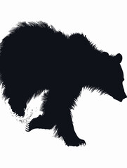 Silhouette Bear Illustration
