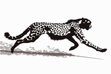 Fototapeta premium Leopard Running Silhouette 