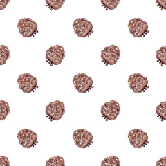 Fir cones, great design for any purpose. Modern watercolor illustration. Christmas botanical pattern for your design. White background