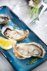 Fresh Oysters on plate, open french oyster with lemon, served table in restaurant, dinner with champagne. Delicatessen, Healthy sea food. Oyster. Gourmet food. 