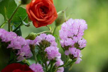 薔薇の花束