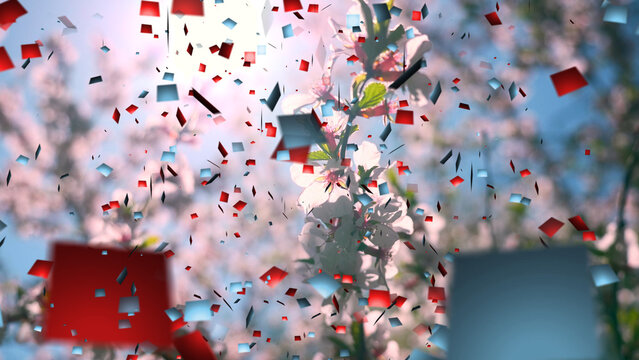 Confetti 3 Styles Transitions 4k 1:1 16:9 9:16