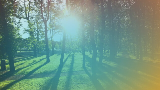 Light Leaks 3 Colors 10 Transitions 2 4k 1:1 16:9 9:16