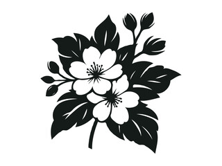 jasmine flower vector illustration. Jasmine flower and leaf drawing vector illustration with line art on white backgrounds