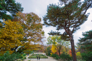 a serene park with diverse, colorful trees under a cloudy sky, showcasing nature’s beauty. A...