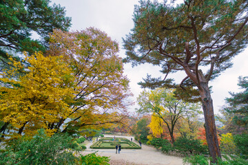 a serene park with diverse, colorful trees under a cloudy sky, showcasing nature’s beauty. A...