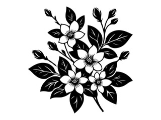 jasmine flower vector illustration. Jasmine flower and leaf drawing vector illustration with line art on white backgrounds