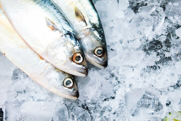 close up of some raw mackerel on ice