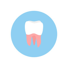molar teeth flat design vector illustration. Oral medicine, stomatology, dental medicine concepts. White tooth. Modern flat design graphic element. Vector illustration