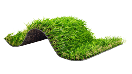 Roll of artificial grass on a transparent background