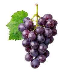 Fototapeta premium a fresh bunch of purple grapes with a green leaf, perfect for food, drink, and health-related projects. isolated on white background. transparent background.