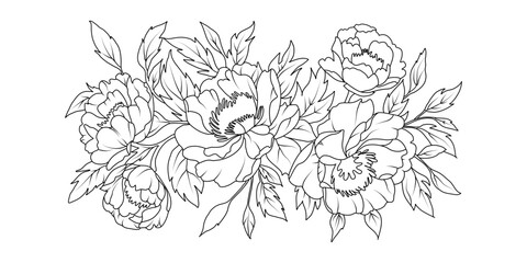 Peony flower arrangement line art on white background. Silhouette botanical hand drawn element for wedding, invitation frame design, vector illustration