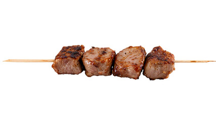 grilled meat on a skewer