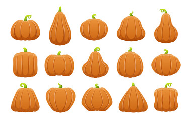 Vector set of pumpkins isolated on white background