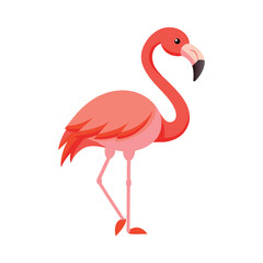 pink flamingo isolated on white