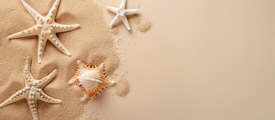 Summer break with starfish and sand on a beige background, viewed from above, providing copy space in a flat lay style