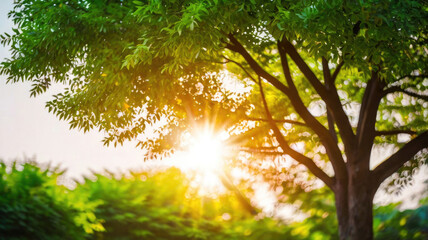 Obraz premium Nature of green leaf in garden at summer. Natural green leaves plants using as spring background cover page environment ecology or greenery wallpaper