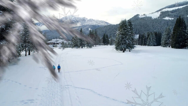 Snow 2 Styles Transitions 2 4k 1:1 16:9 9:16