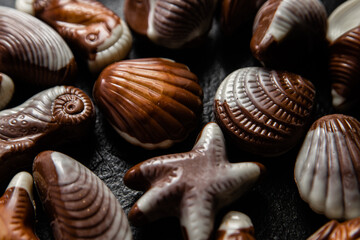 Chocolate candies in the shape of shells on a dark background