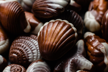 Chocolate candies in the shape of shells on a dark background