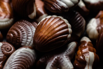 Chocolate candies in the shape of shells on a dark background