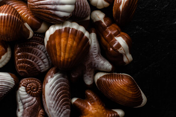 Chocolate candies in the shape of shells on a dark background