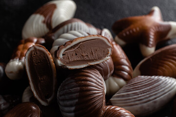 Chocolate candies in the shape of shells on a dark background