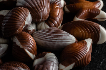 Chocolate candies in the shape of shells on a dark background