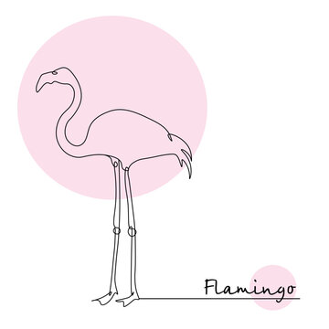 Flamingo design illustration, south, resort, contour line drawing.