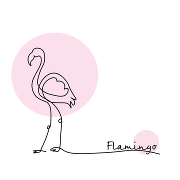 Flamingo design illustration, south, resort, contour line drawing.