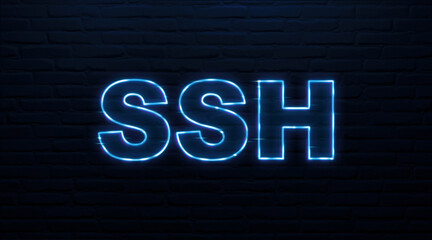 SSH NEON TEXT