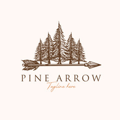 Obraz premium Vintage retro Pines cedar tree forest jungle with wood arrow for ecology logo design vector