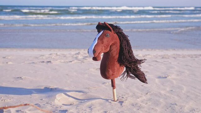 Funny Hobby Horse Kids Toy Standing in Seashore Beach Sand on Windy Day