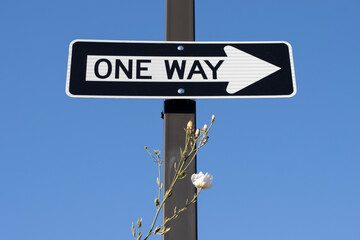 Low angle view of a ONE WAY street sign against a clear blue sky background.