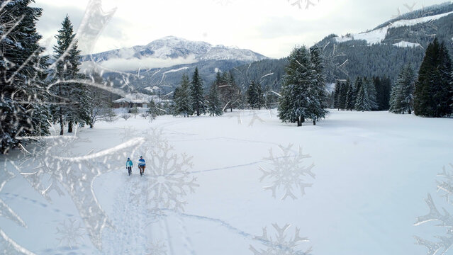 Snow 2 Styles Transitions 4k 1:1 16:9 9:16