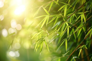 Detailed view of lush green bamboo stalks highlighting their natural texture and beauty