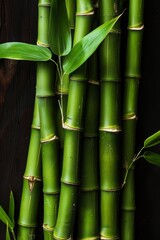 Detailed close up of lush green bamboo stalks showcasing textural beauty in nature