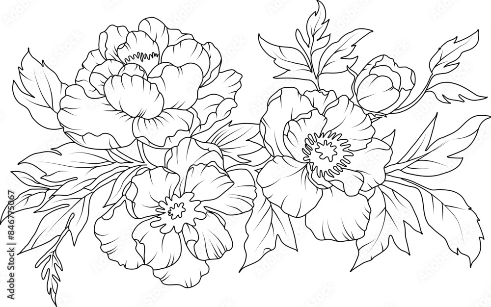 Wall mural Peony flowers line art illustration