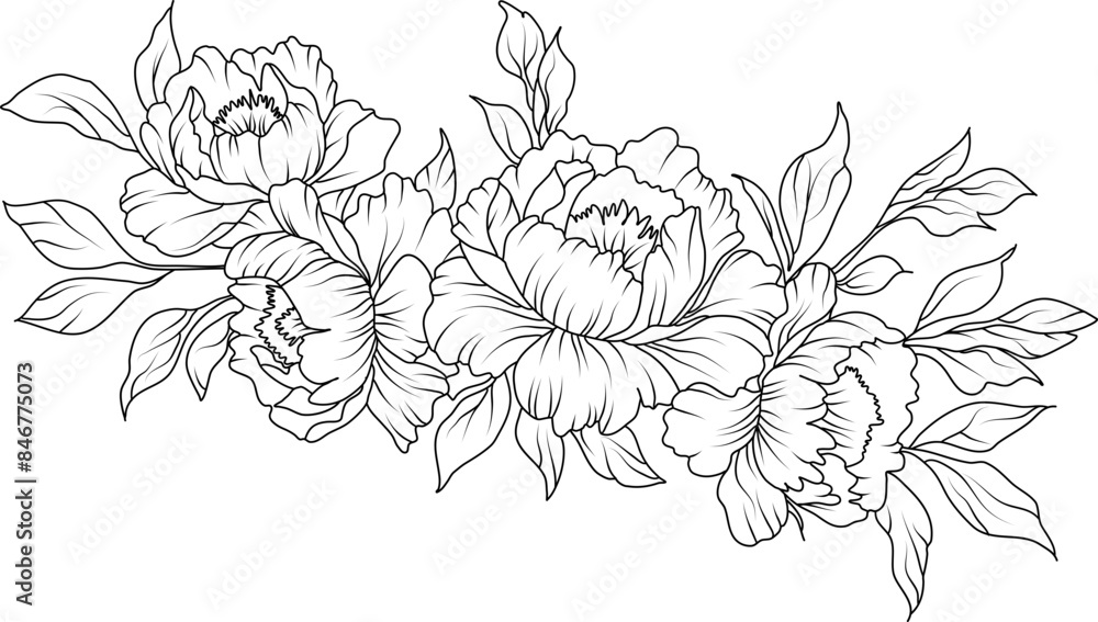 Wall mural Peony flowers line art illustration