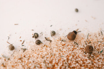 Italian salt with spices on a white background