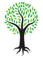 Fototapeta premium Abstract Green Tree Vector icon. 