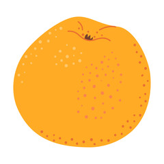 Yellow juicy ripe apple. Hand drawn fresh apple trendy flat style isolated on transparent background. Apple harvest. Healthy vegetarian snack, cut apple for design, infographic. Vector illustration