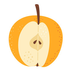 Cut yellow apple cartoon icon. Cross section of cut apple, slices fruit, Hand drawn trendy flat style isolated on transparent background. cut apple for design, infographic. Vector illustration