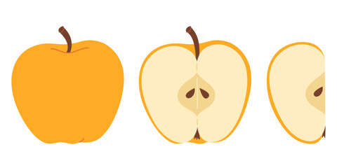 Yellow juicy apple hand drawn set. Whole, half, slice of fresh yellow apple fruit. Collection of whole apples and sliced apples. Flat style isolated on transparent background. Vector illustration